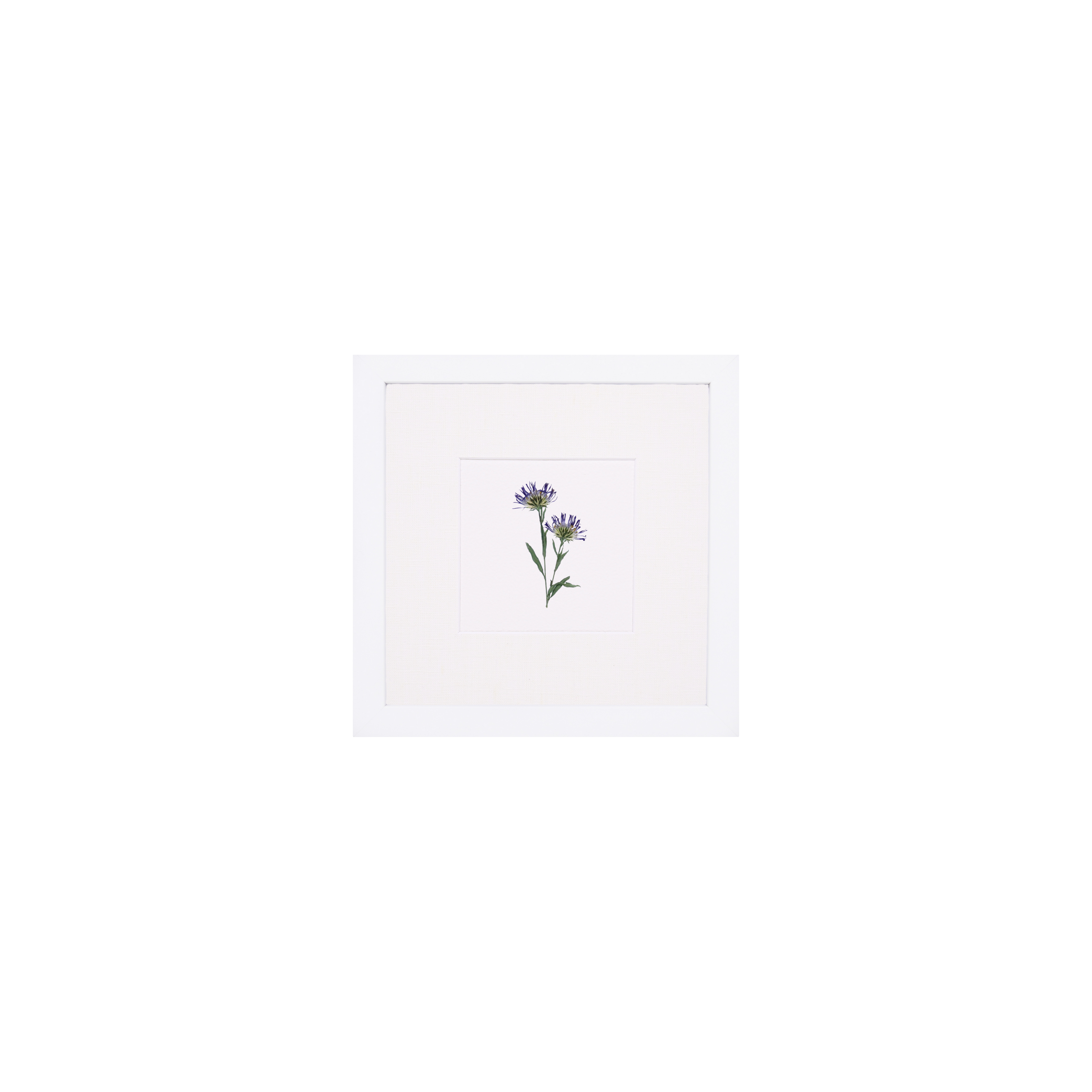 Month:September;Color:Solid White;